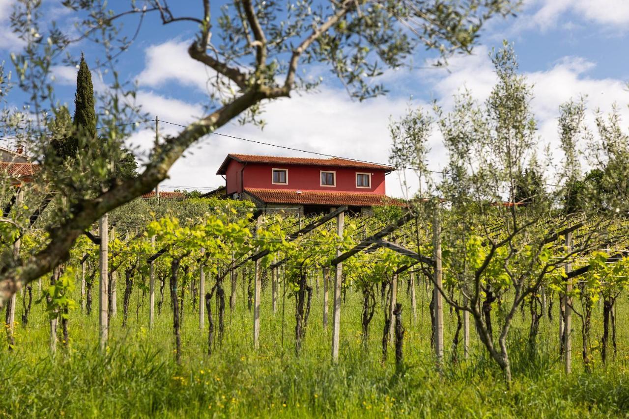 Touristfarm - Apartments "Red Fairytale" Marezige Exteriér fotografie
