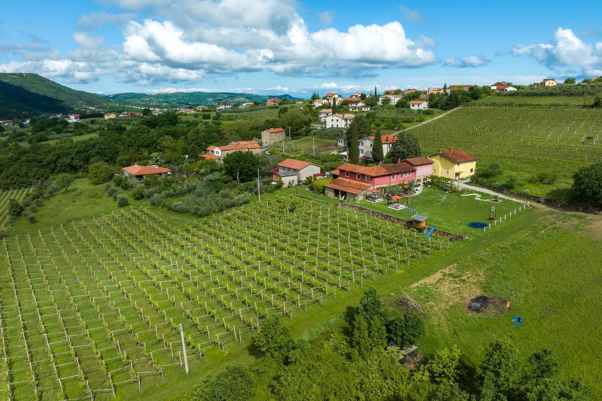 Touristfarm - Apartments "Red Fairytale" Marezige Exteriér fotografie