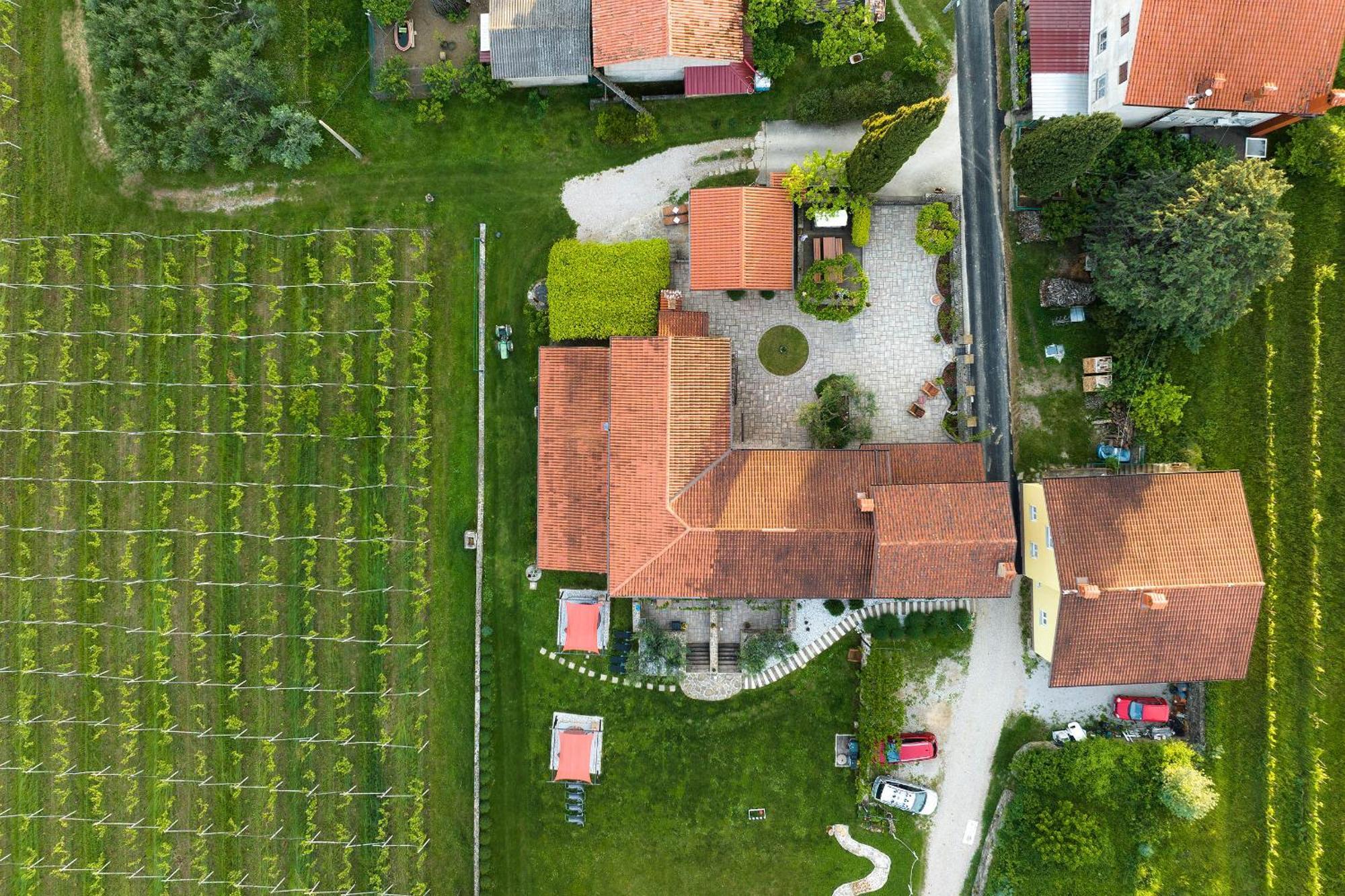 Touristfarm - Apartments "Red Fairytale" Marezige Exteriér fotografie